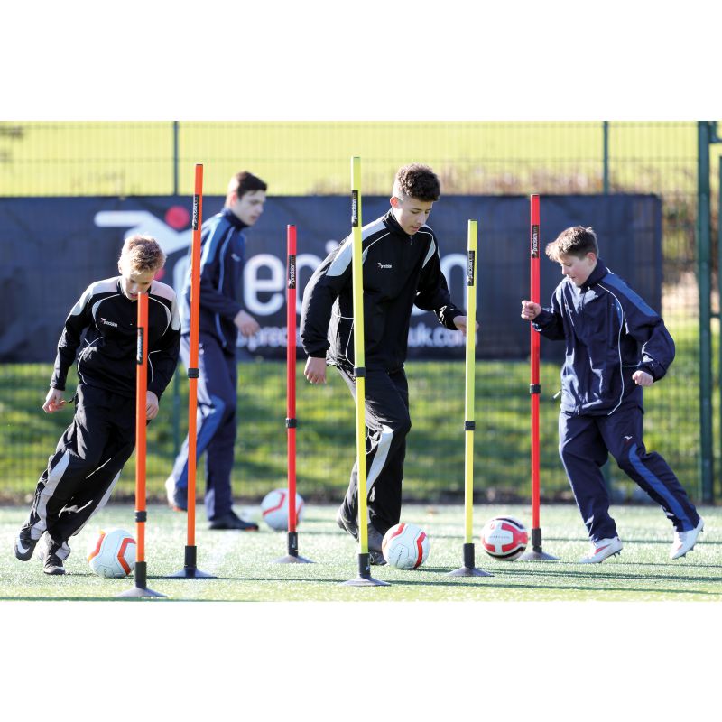 Precision Telescopic Boundary Poles (Set of 12)