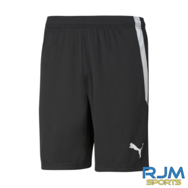 Skillz Training Puma Team Liga Shorts Black White