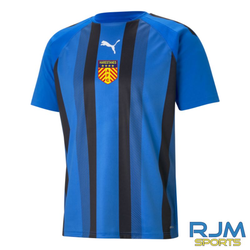 Harestanes AFC Away Puma Team Liga Striped Jersey Elecric Blue Black