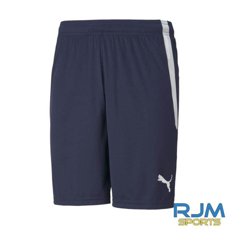 Harestanes AFC Puma Team Liga Shorts Peacoat White