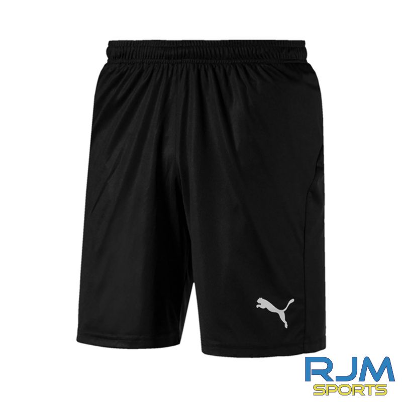Puma Liga Core Short Black - Clearance