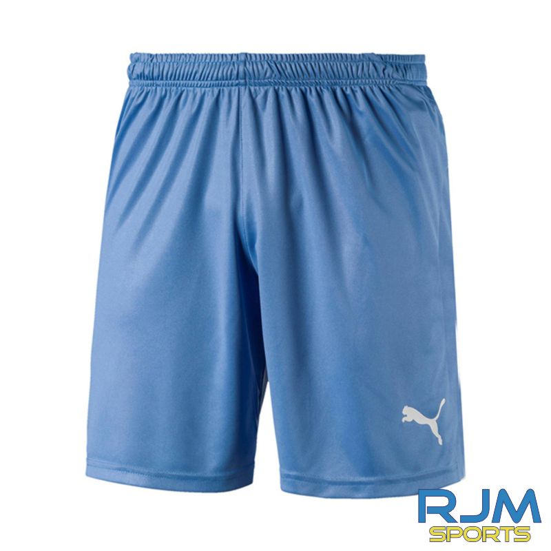 Puma Liga Core Short Team Light Blue - Clearance