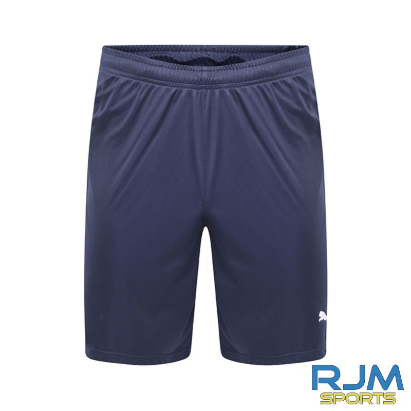 Puma Liga Core Short Peacoat - Clearance