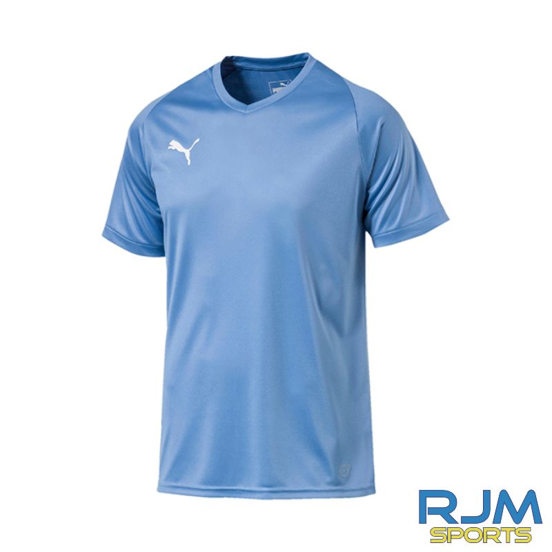 Puma Liga Jersey CORE Silver Lake Blue - Clearance