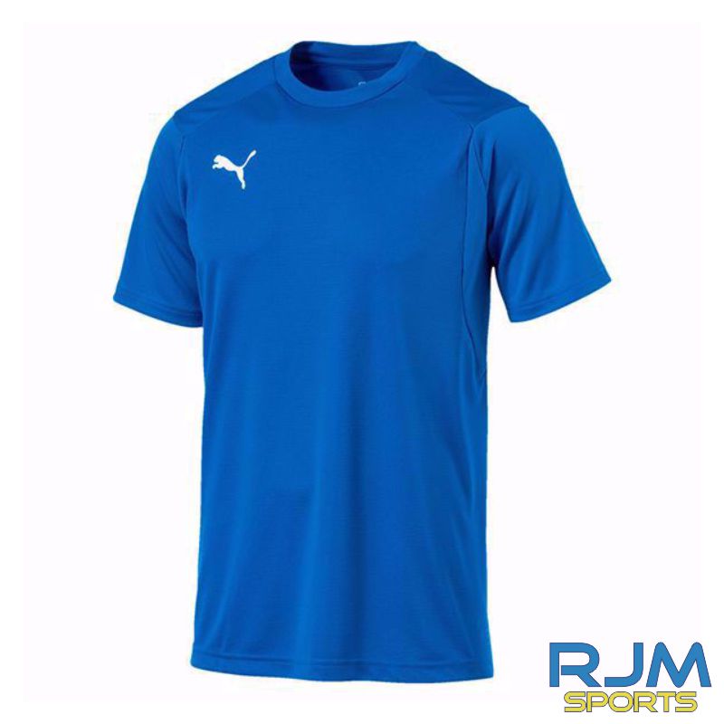 Puma Liga Training Jersey Clearance Royal
