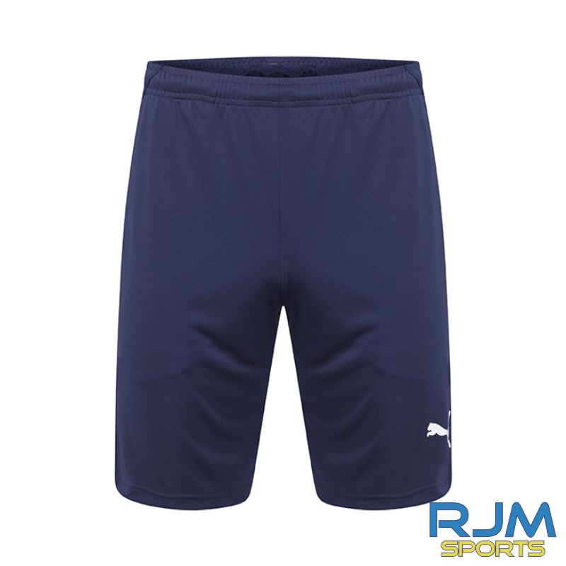 Puma Liga Training Short Peacoat - Clearance