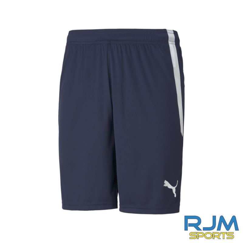 Dundonald Bluebell JFC Coaches Puma Team Liga Training Shorts Peacoat