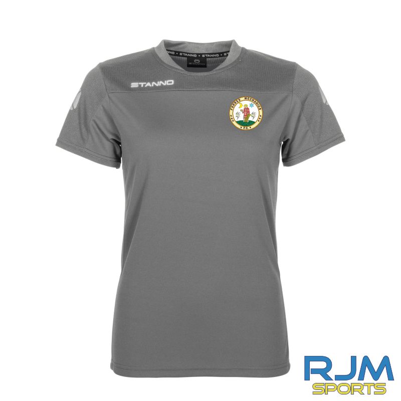 Forres Mechanics FC Stanno Pride T-Shirt Grey/White