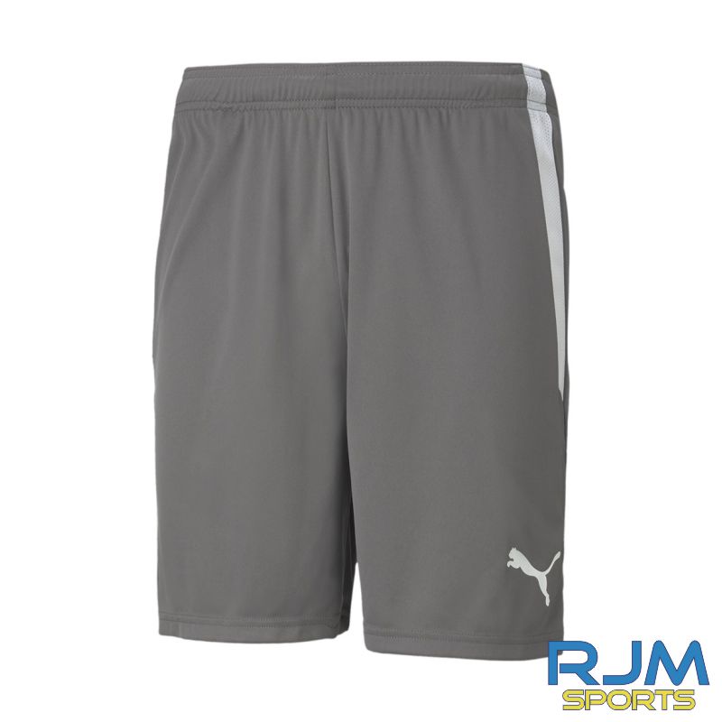 Dundonald Bluebell JFC Away Puma Team Liga Goalkeeper Shorts Smoked Pearl